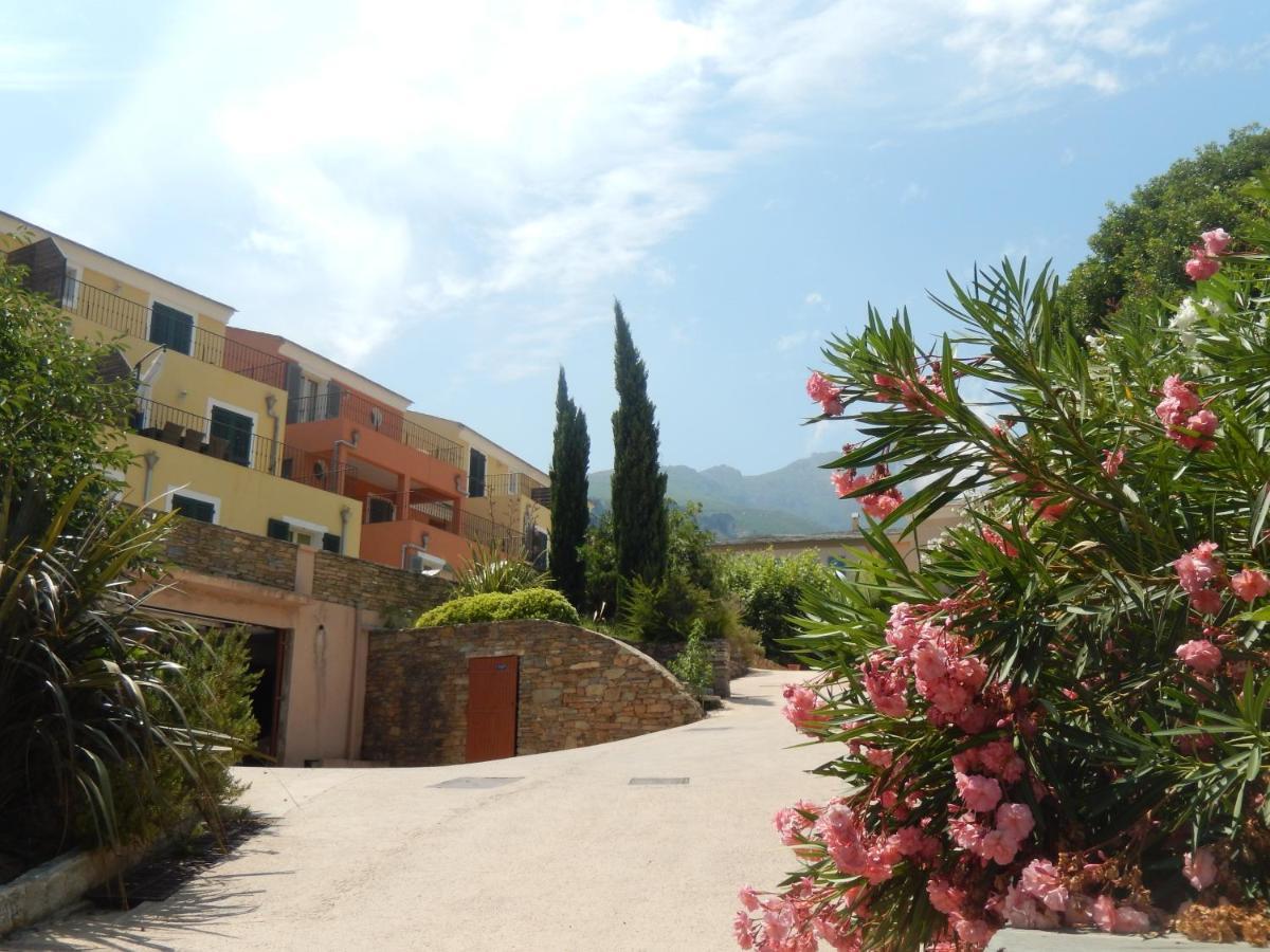 Erbalunga - Residence Les Bosquets - Cap Corse Location Brando Exterior foto